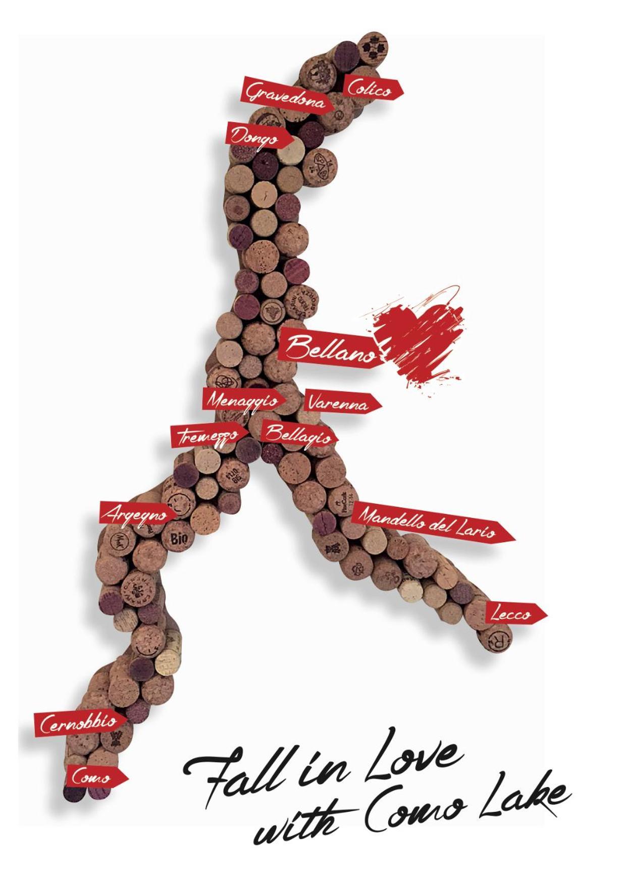 Fall In With Bellano